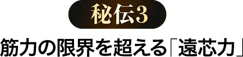 秘伝3 筋力の限界を超える「遠芯力」