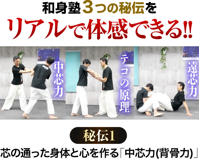 和身塾の3つの秘伝を「直接体感」権 秘伝1 芯の通った身体と心を作る「中芯力(背骨力)」